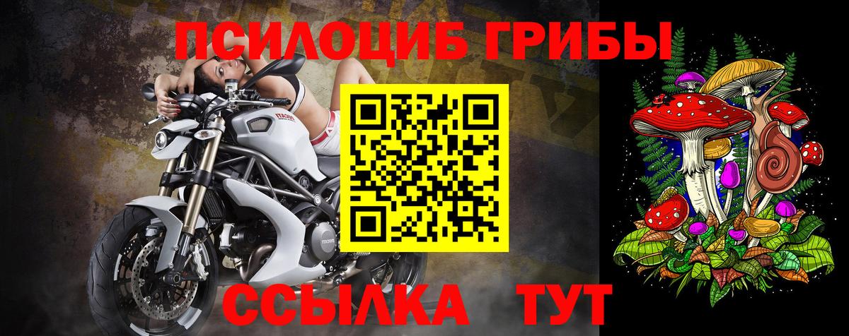 Галлюциногенные грибы ЛСД  Галлюциногенные грибы Psilocybine cubensis  Нальчик  Вход с VPN 