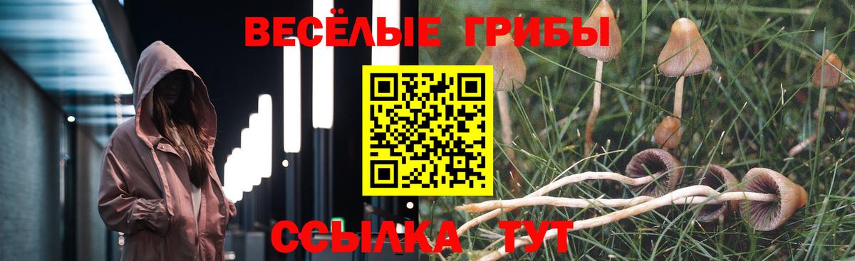 Псилоцибиновые грибы мицелий Нальчик