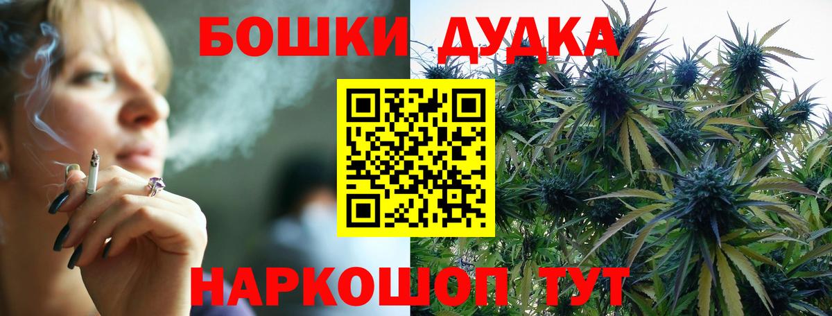 Каннабис индика Нальчик